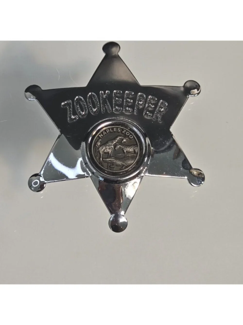 Zookeeper Naples Florida Six-Point Star Badge Souvenir Pin Alligator Giraffe